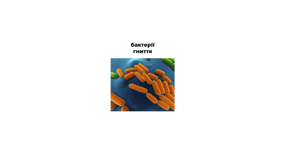 0200u4y0-ff95-940x529.jpg