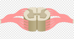 0200u60d-0e6e-314x165.png