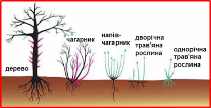0200u68m-7826-411x211.png