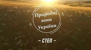 Природні зони Укараїни. Степ.