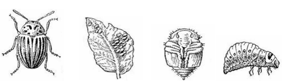 0200u8xs-1df6-559x165.png