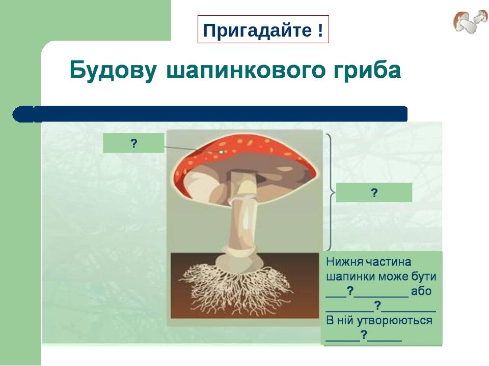 Пригадайте !