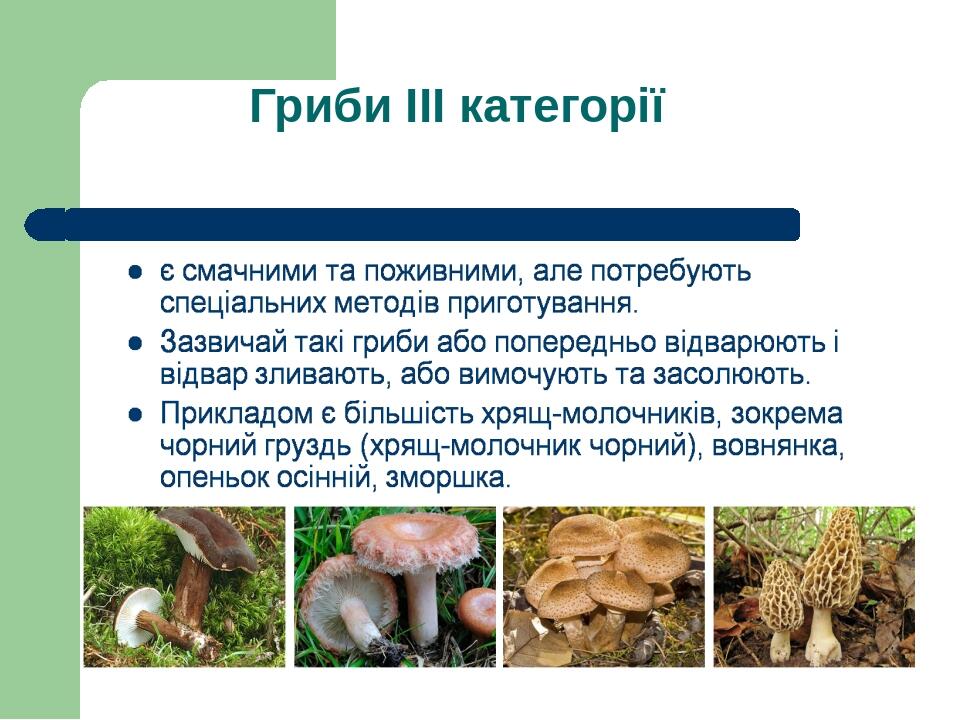 Гриби ІІІ категорії