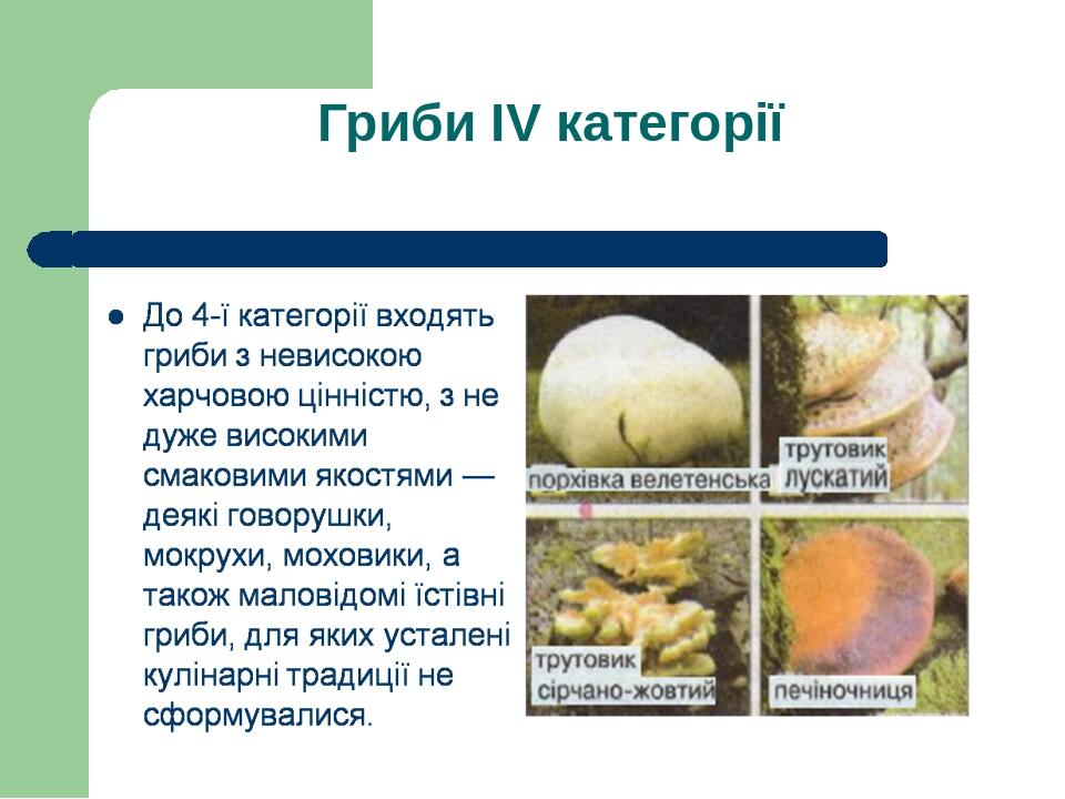 Гриби ІV категорії