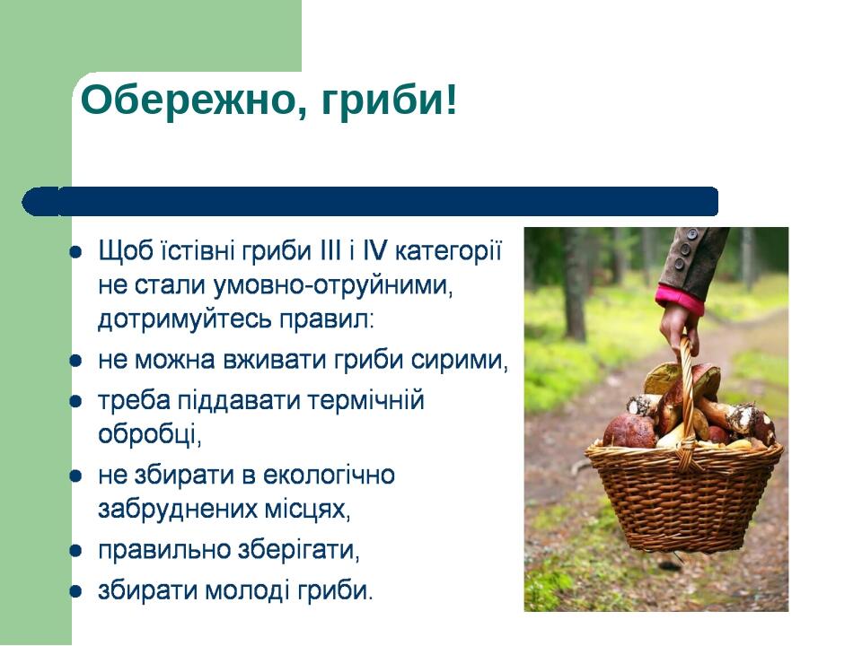 Обережно, гриби!