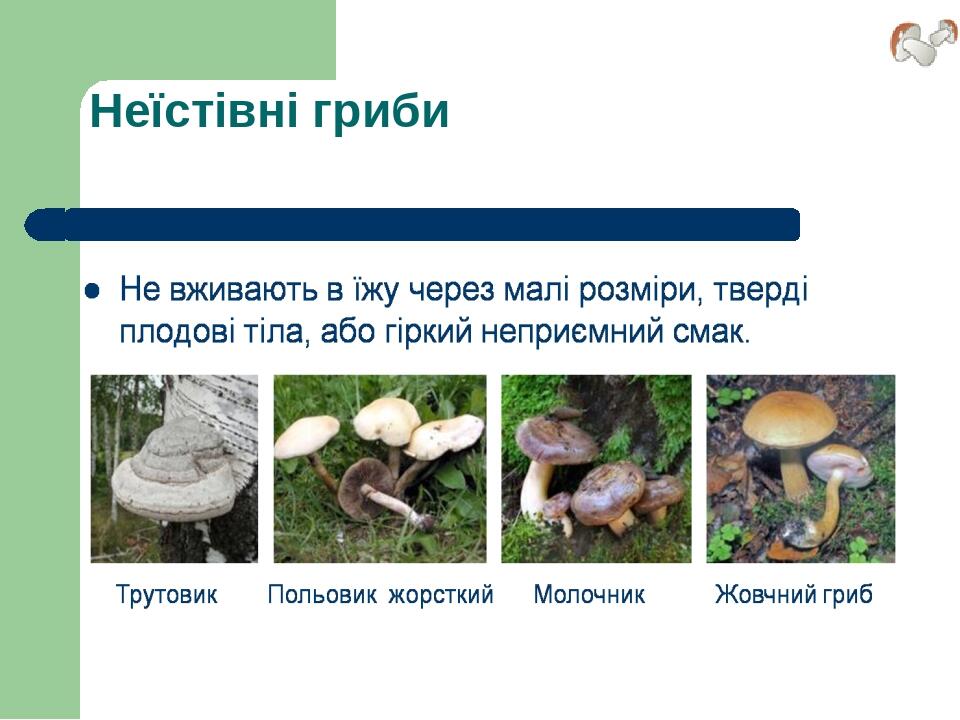 Неїстівні гриби