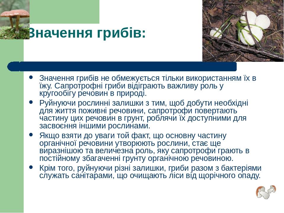 Значення грибів: Значення грибів не обмежується тільки використанням їх в їжу. Сапротрофні гриби відіграють важливу роль у кругообігу речовин в при...