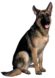 0200ubl6-4c42-72x102.png
