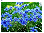 0200uef7-4508-228x174.png