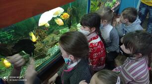 Відвідування Сєвєродонецького клубу любителів акваріума «НеоН і К»