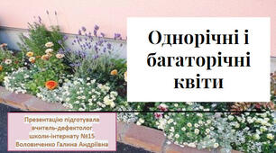 Презентація "Однорічні і багаторічні квіти"