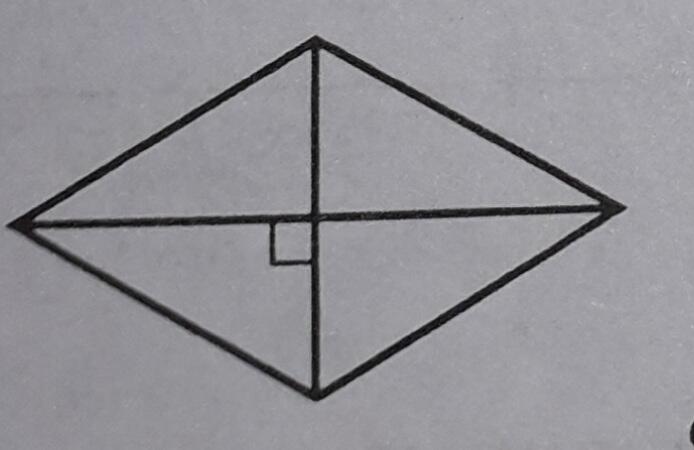 0200ui6y-044b-694x450.jpg
