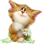 0200uimw-8537-173x183.png