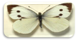 0200uj53-4460-307x164.png