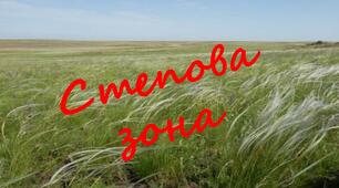 Природознавство Презентація до уроку "Зона степів".