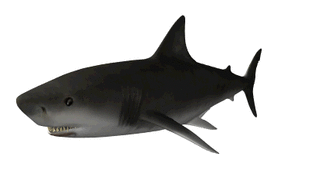 0200umgu-baf7-321x181.gif