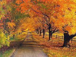 Бібліотечний етюд: Фарби осені