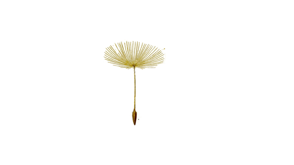0200ums0-44fd-940x529.gif