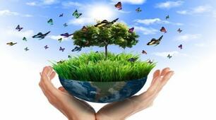 Природознавство 4-ий клас. Контрольна робота. Природа України