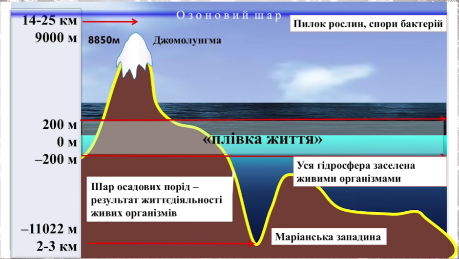 0200up3m-e962-940x531.png