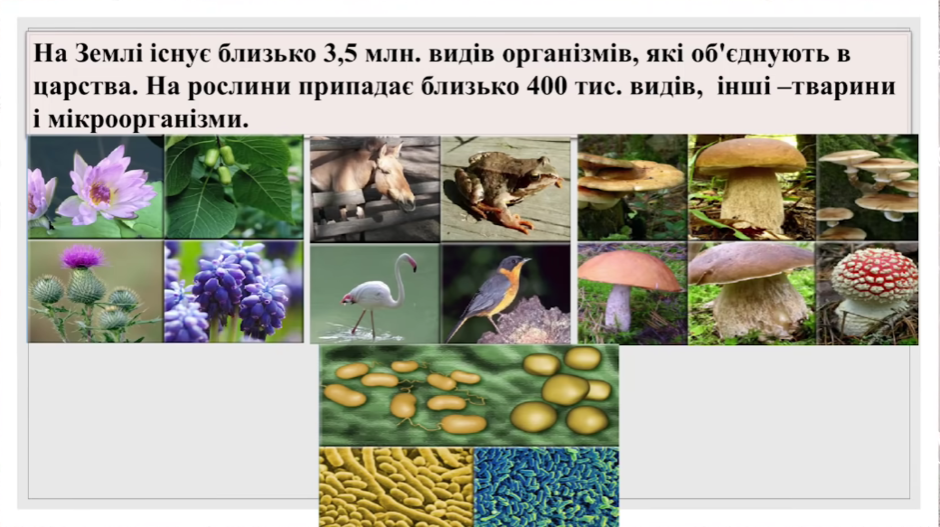 0200up5b-ccf4-940x527.png