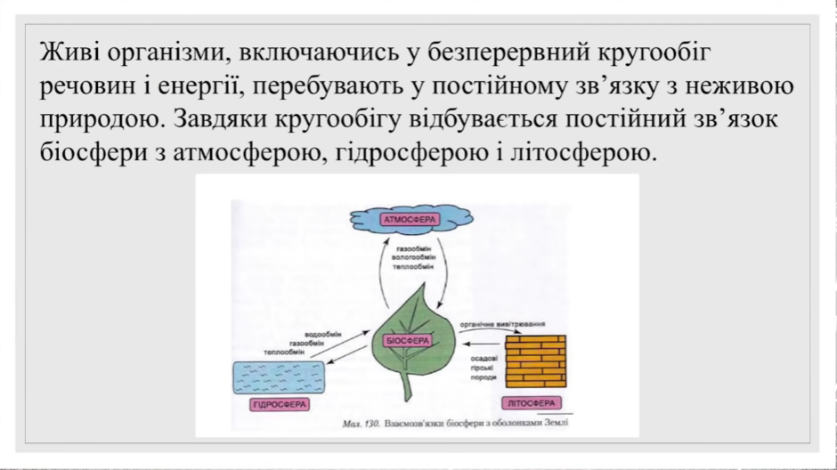 0200up5y-018f-940x528.png