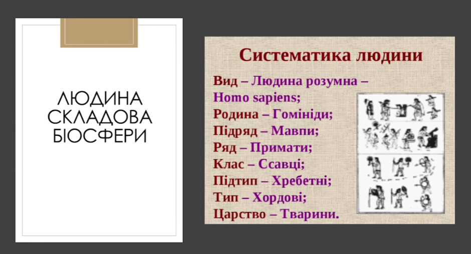 0200up7e-780f-940x508.png