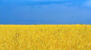 Природа України