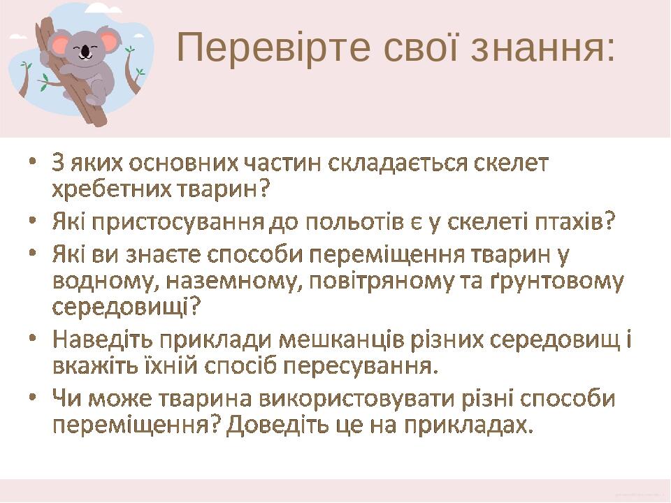 Перевірте свої знання:
