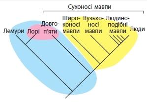 0200us2x-8078-299x207.jpg