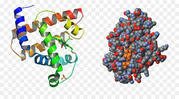 0200uzn9-8b21-301x167.jpg