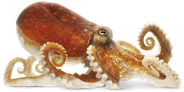 0200v093-20d9-268x134.png