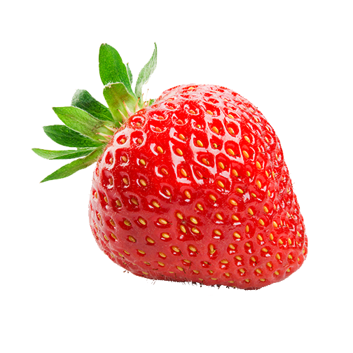 0200v0mh-ac9f-504x504.png