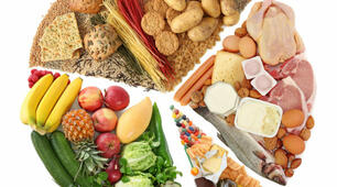 Виробництво харчових продуктів у світі та в Україні