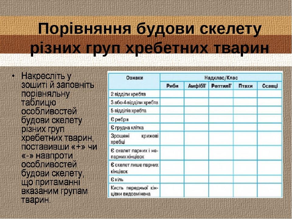 Порівняння будови скелету різних груп хребетних тварин