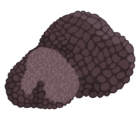 0200v7x2-5146-362x306.png