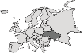 0200v9zz-7831-495x322.png