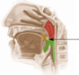 0200vb67-92c4-88x84.png