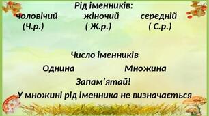 Рід і число іменників