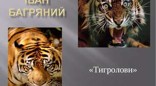 "Тигролови" (за змістом твору)