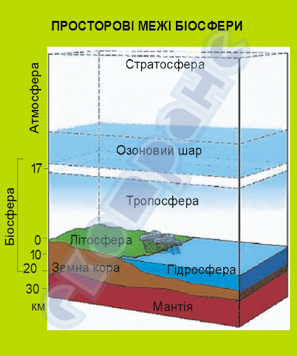 0200vebg-dbe8-427x512.png