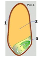 0200vfsq-39eb-86x117.png