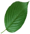 0200vfsr-e42a-105x120.png