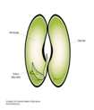 0200vft1-6f9b-105x122.png