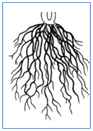 0200vft4-fd07-93x131.png