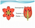 0200vft7-2ab8-152x121.png