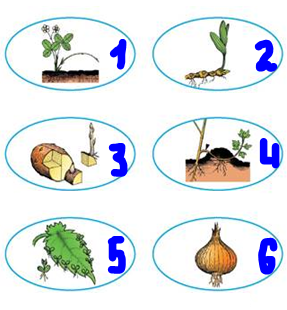 0200vg4z-bb5a-287x310.png
