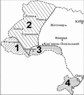 0200vm65-c296-295x332.jpg
