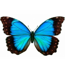 0200vmzt-b9cd-223x235.png