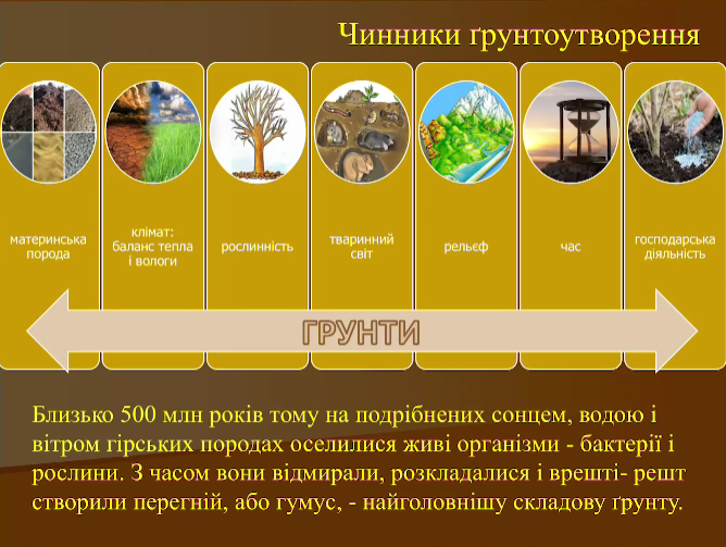 0200vp0n-39f3-668x503.png